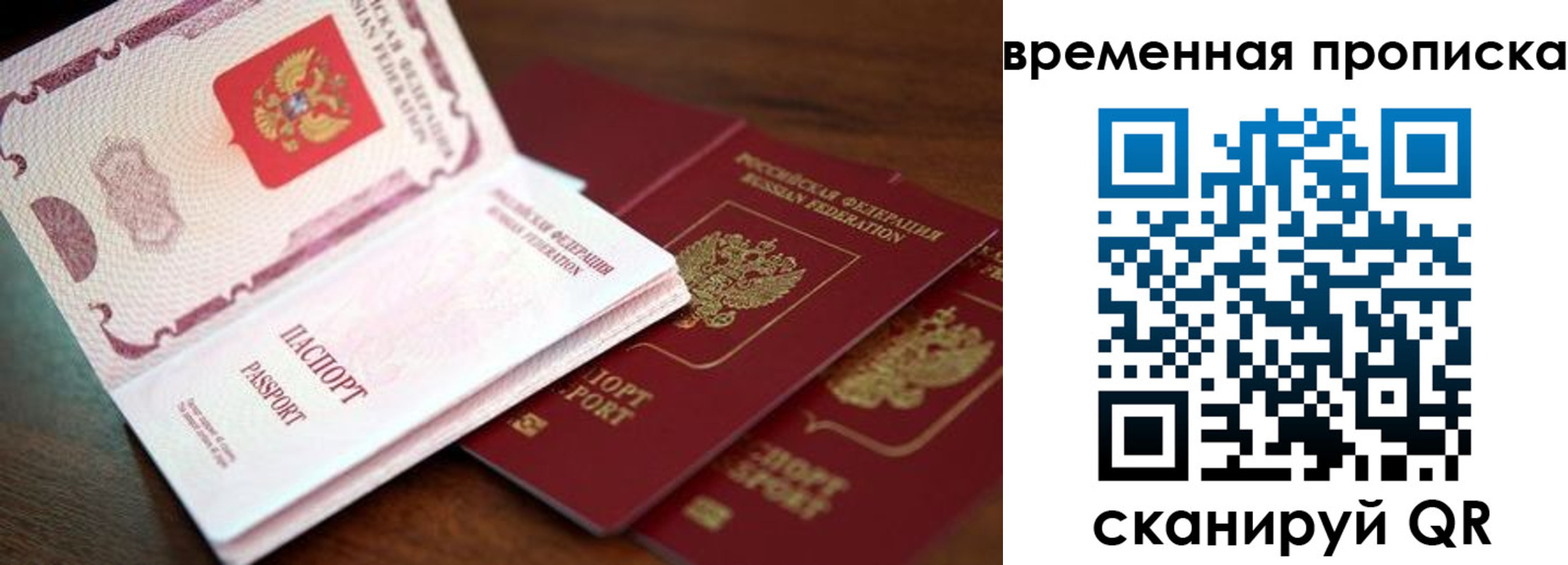 прописка штамп в Николаевске